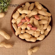 الفول السوداني المحمص اللذيذ الصيني بالجملة في القشرة